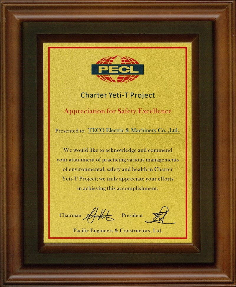 Project Success Praise-1