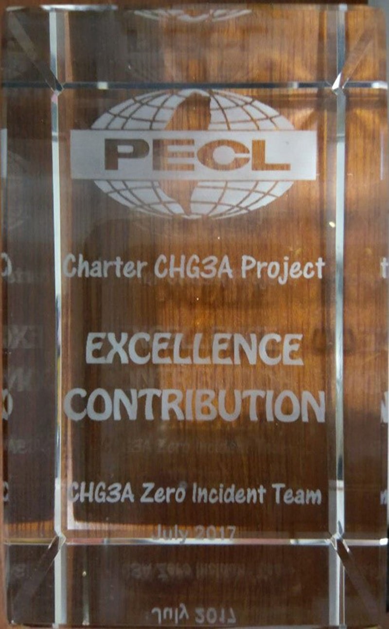 Project Success Praise-6